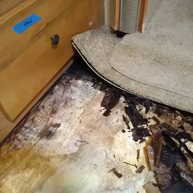 Wood Floor Water Damage in Southchase, FL